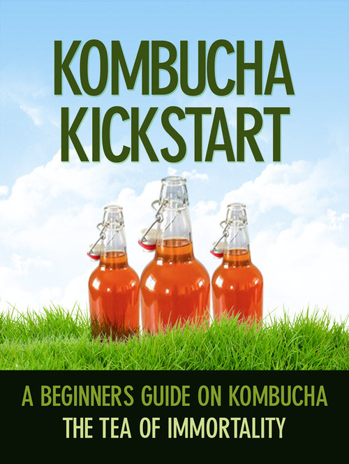 Product picture Kombucha Kickstart
